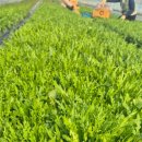 일호농장 이미지