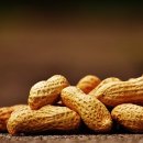 번성세탁 이미지