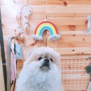 이쁘개(내포신도시점) 이미지