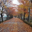 송정체육시설 송정테니스장 이미지