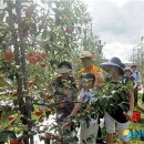 유영수 농장 이미지