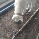 똘이PC 네이버블로그