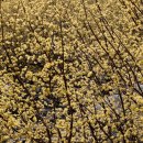 수유마을 이미지