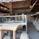 생활체육광장 공중화장실 이미지