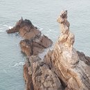 콩돌해변 Daum카페