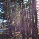 성산면사무소 버스정류장 이미지