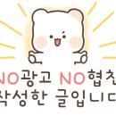 안독(Andog) 이미지