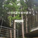 너의아지트가되어줄게(홍천) 이미지