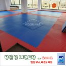 당진 참 태권도장 이미지