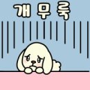 박*완 이미지
