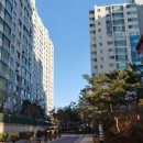 세보건영