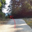 신무농장 이미지