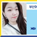 동삼동 어촌체험마을 이미지