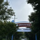 와룡자연휴양림일반야영장 | 가을 단풍캠핑이 기대되는 전북 장수 와룡휴양림, 평상 야영테크 2박 3일 캠핑 후기