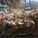 하라부동산공인중개사사무소 이미지