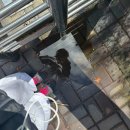 삼일공원(경로당) 이미지