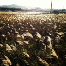 블루포니 게스트하우스 이미지