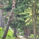 해파랑길 47코스 이미지