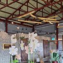 창한로 | 창녕 아이랑 카페 놀이방이 있는 창원 근교 대형카페 커피문화포레스트