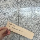 백년블루