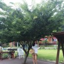 수양호원 이미지