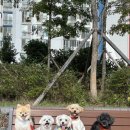 양산유치원 이미지