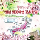 편안탑항공 이미지