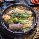 “만원으로 즐긴 고급 점심｜일도참치 아구탕 지리 리뷰 (평택 고덕)”