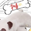 (주)퍼그