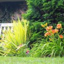 성당할머니 이미지