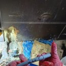 광남1동-4 이미지