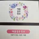 애플결혼정보 이미지