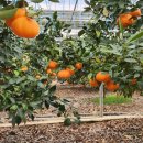 김형남농장 이미지