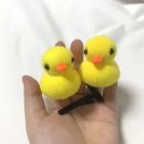 유유헤어 이미지