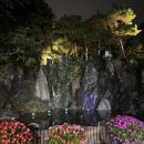 카페델피노 인근 이미지