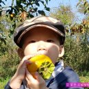 호왕농장 이미지