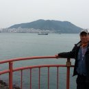 감정초교 이미지