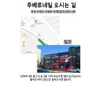 부산 수영 꼼꼼하고 친절한 네일샵 추천 &lt;주베르네일&gt; 솔직후기