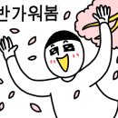 펑펑상회