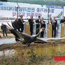 한국스마트시티연구소