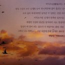 비익조 Daum카페
