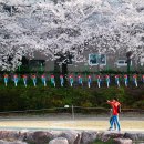 은혜세탁소 Daum카페