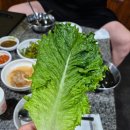 오산 갈곶동 맛집 - 원삼골 생오리 돌구이 솔직후기