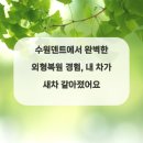 차완벽복원 네이버블로그