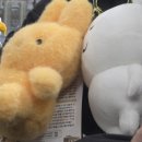 뽀바또 네이버블로그