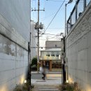 대구 교동 반려견동반 카페 어노잉! 벚꽃과 목련을 볼 수 있는 카페
