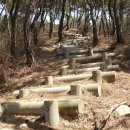 어등산등산로 이미지