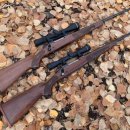 270-2580 | Winchester Model 70