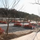 하기숲 캠핑장 이미지