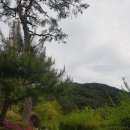 선비촌 이미지